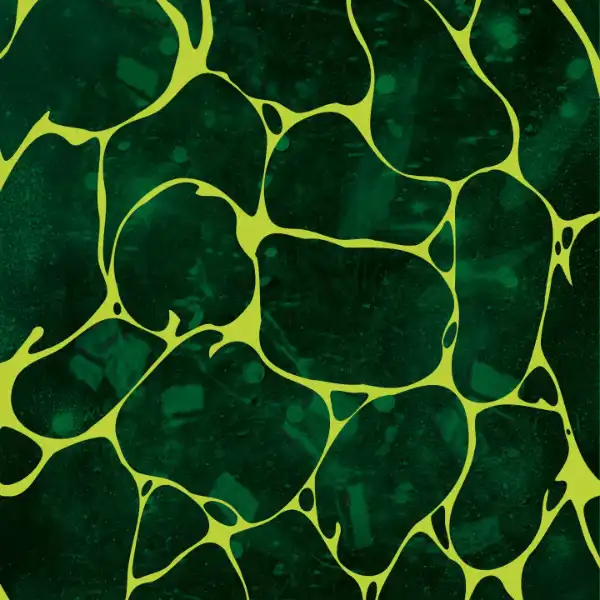 Past Pavillon: Temporäre Ausstellung mit Installationen von Neringa Vasiliauskaite & Antonia Low, Köln. Raum für Erinnerung, Wunsch & Projektion. Themen: Übergang, Imagination, Perspektiven, Rituale. Kuratiert von Jennifer Cierlitza & Patrick C. Haas.