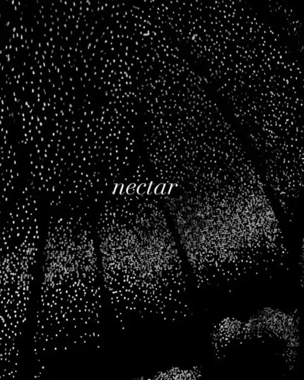 Flyer zu Kunstausstellung von Vera Keckstein in La Felce Köln