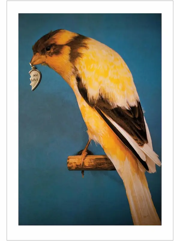 Einladung zur Gruppenausstellung in kjubh Kunstverein Köln