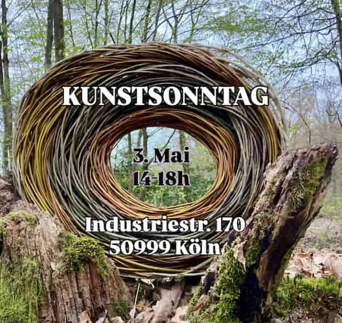 Kunstsonntag in Kunstzentrum Wachsfabrik